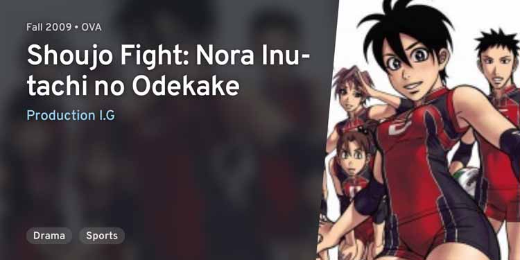 shoujo-fight-norainu-tachi-no-odekake-voleybol-animesi